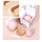 Foundation Supplier - Matte Oil Control Long Lasting