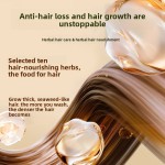 Shampoo Soap Factory - Green Cypress Leaf