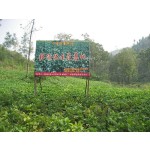 Glass Sweet Potato Powder Factory - Pure Handmade Gluten Free