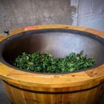 Matcha Green Tea Manufacturer - Wholesale Decaf Healthiest