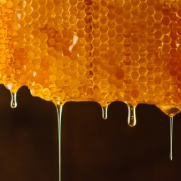 Golden Honey Manufacturer - OEM Sachet Box Men