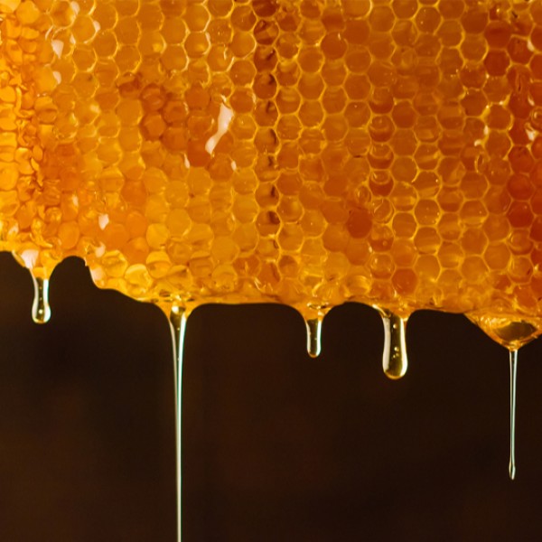 Golden Honey Manufacturer - OEM Sachet Box Men