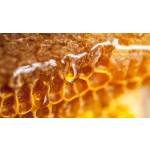 Pure Bee Honey Manufacturer - OEM Genuine Frozen