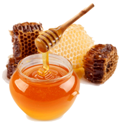 Wild Bee Honey Manufacturer - Chinese Forest Natural Green