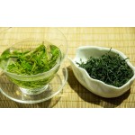 Chinese Green Tea Manufacturer - Moroccan Tea Powder