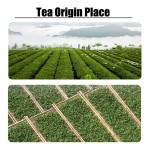 White Christmas Tea Supplier - Organic Orchard Blend