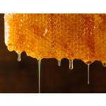 Natural Honey Factory - OEM Custom Packaged 15g