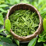 Green Tea Supplier - High Quality Loose Sri Lanka