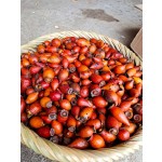 Cherokee Rose Herb Factory - Wholesale Dried Fructus