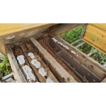 Royal Honey Supplier - OEM Men Sexual Health