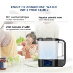 Portable Hydrogen Generator Supplier - 2L USB Powered