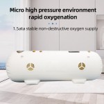 Hyperbaric Therapy Chamber Manufacturer - HBOT Recovery Facial