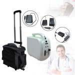 Portable Oxygen Concentrator Manufacturer - Mini 10 Liter