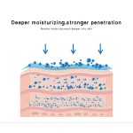 Steam Face Sprayer Factory - Nano Mist Ionic Hydro