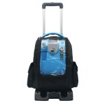 Portable Oxygen Concentrator Manufacturer - Rechargeable Home