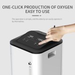 Hospital Oxygen Concentrator Supplier - Double Flow Nebulizer