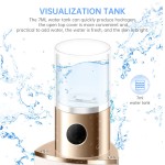 Portable Mist Sprayer Manufacturer - Electric Nano Facial