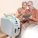 Portable Oxygen Concentrator Manufacturer - Mini 10 Liter