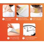 Pain Relief Patch Supplier - Far Infrared Hot Cold