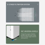 Hospital Oxygen Concentrator Supplier - Double Flow Nebulizer
