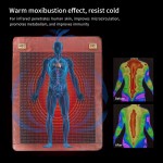 Electric Heating Pad Factory - Negative Potential Therapy