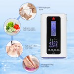 Portable Hydrogen Machine Supplier - 600ml Veterinary Use