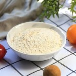Garlic Powder Manufacturer - Food Grade Dehydrated