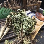 Resurrection Plant Manufacturer - Wholesale Dried Herba