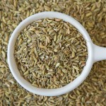 Dried Fennel Factory - China Herb New Crop