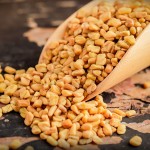 Fenugreek Seed Supplier - Wholesale Herb Spice