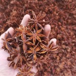 Star Anise Supplement Supplier - Guangxi Natural Color