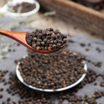 Black Pepper Supplier - Vietnam Spices Wholesale