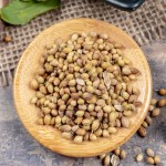 Coriander Seeds Supplier - Indian Premium Quality