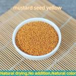Yellow Mustard Seeds Factory - Single Spices Seasoning