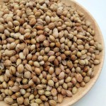 Cilantro Seeds Manufacturer - Wholesale Natural Spice