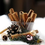 Cinnamon Sticks Supplier - Cassia Cinnamon Quality