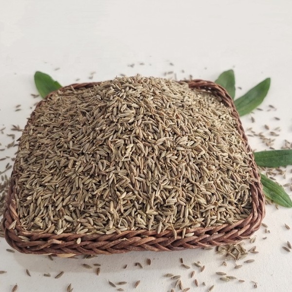 Cumin Seeds Manufacturer - Natural Barbecue Seasoning