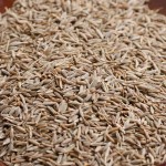 Whole Cumin Seeds Factory - Wholesale Single Spice