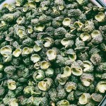 Green Sichuan Pepper Supplier - Kitchen Seasoning Spice