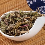 Peppermint Leaf Supplier - Chinese Traditional Herbs