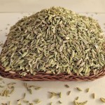 Dried Fennel Seeds Factory - Factory Price Seasoning