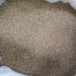 Organic Cumin Manufacturer - Direct Factory Price