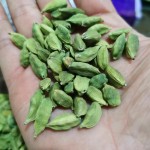 Dried Green Cardamom Factory - Pure Natural Organic