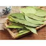 Dried Laurel Leaves Supplier - Factory Price Spice