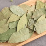 Bay Leaf Manufacturer - Cooking Food Spice