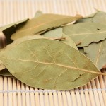 Laurel Leaf Factory - Chinese Natural Greenish