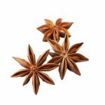 Common Star Anise Supplier - Customized Spices New