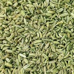 Fennel Seeds Factory - Wholesale Natural Spice