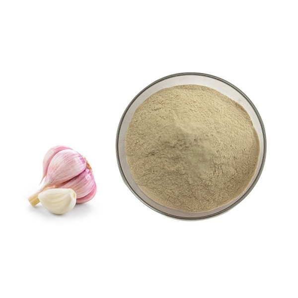 Garlic Powder Manufacturer - Food Grade Dehydrated