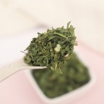 Parsley Leaf Manufacturer - New Crop Herbs Food